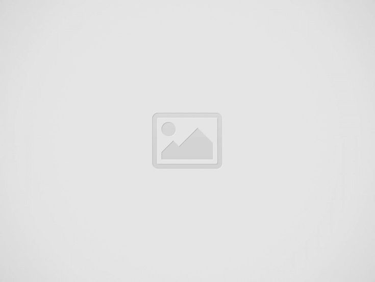 Polyline Projekt-Partner