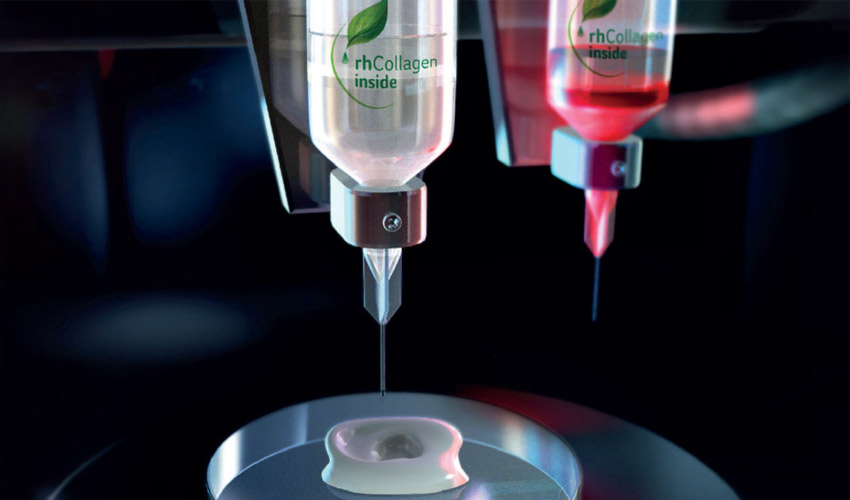 Beschleunigung vom Biodruck menschlicher Nieren