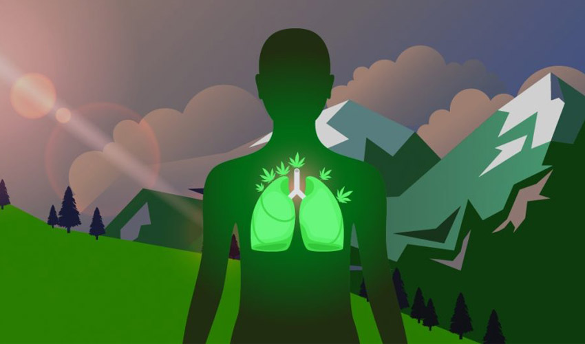 Was Bedeuten Flecken Auf Der Lunge