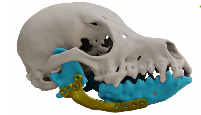 impresión 3D veterinaria
