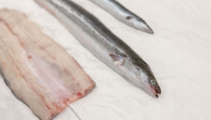 Steakholder Foods develops cultivated eel