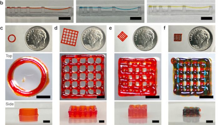 3D-Druck Tinte aus Peptide