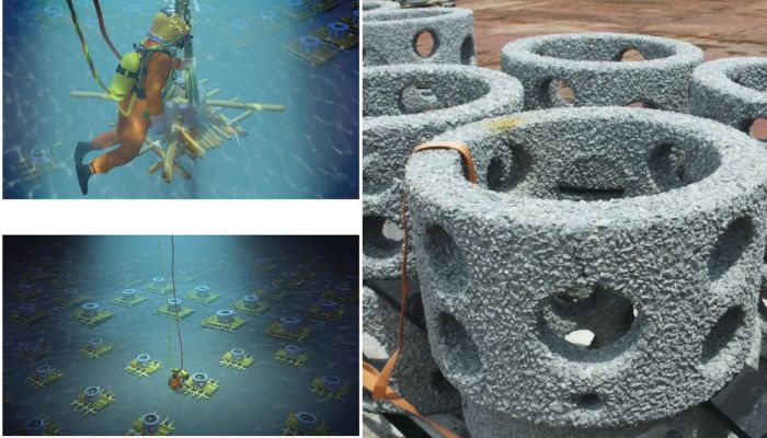 récifs coralliens impression 3D
