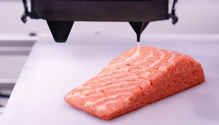 Ozeane 3D Projekte Fischersatz
