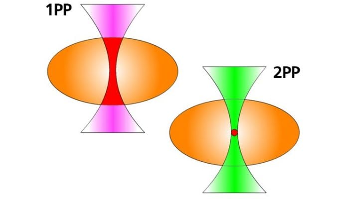 Schema Zwei Photonen Polymerisation 