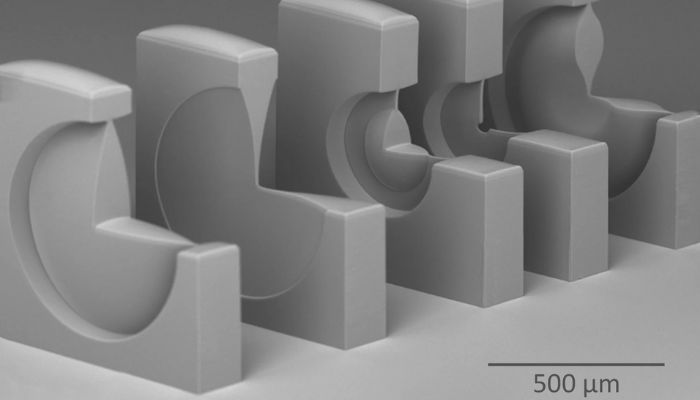 a microlens system manufactured by two-photon polymerization