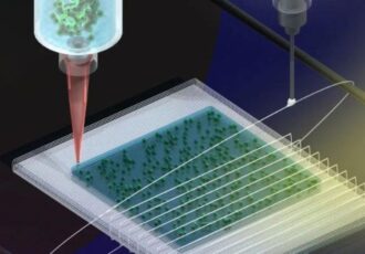 hydrogel faser
