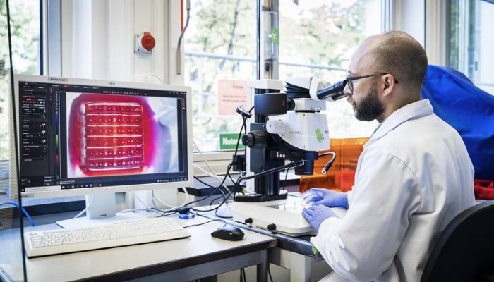 #3DExpress Desktop-Bioprinter