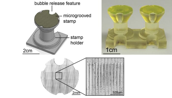 STAMP