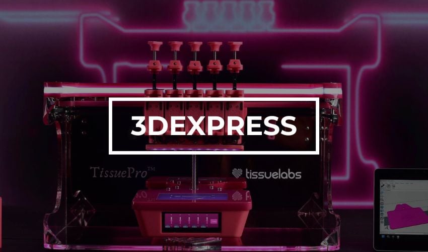 #3DExpress