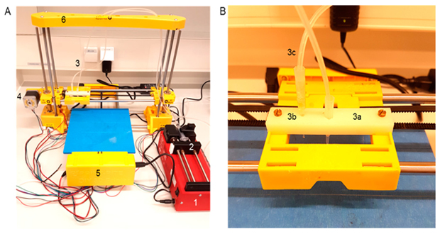 3D Druck Bakterien