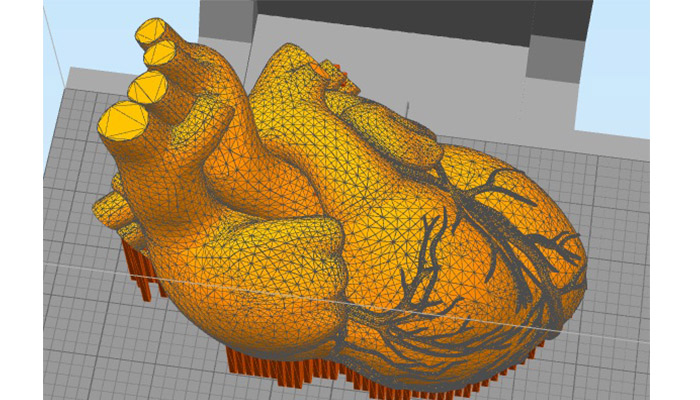 Simplify3D