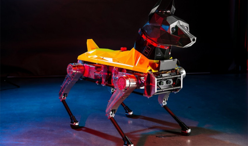 roboterhund astro