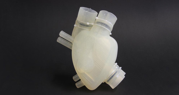 3D gedrucktes Herz
