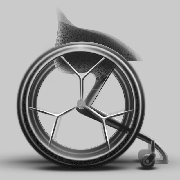 gowheelchair3