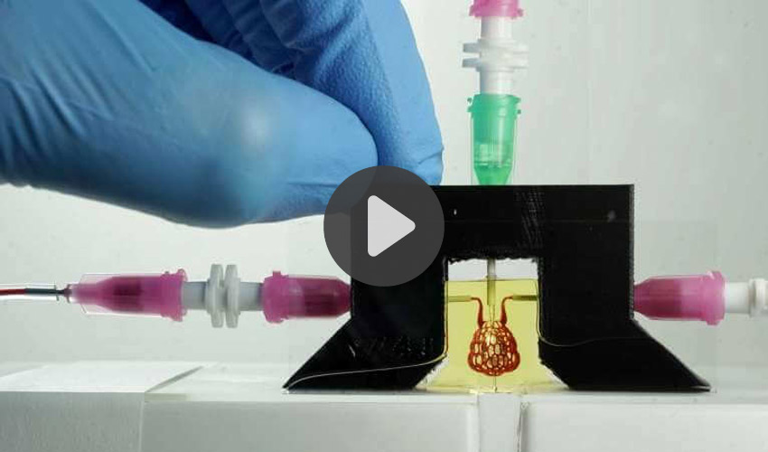 3D-Biodruck von Blutgefäßen