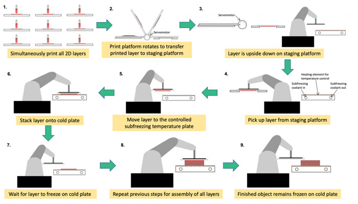 beschleunigtes 3d bioprinting