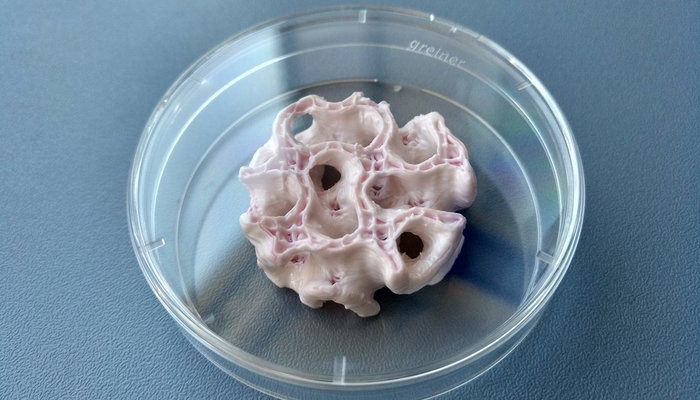 bioprinting space