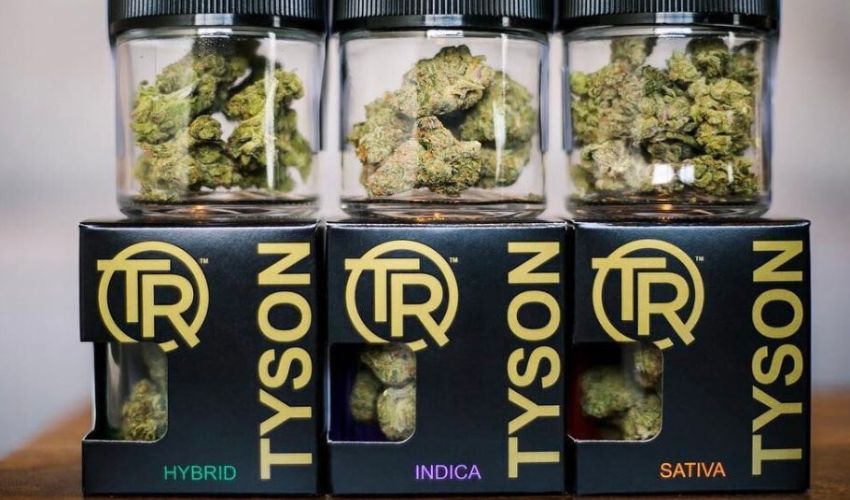 mike tyson 3D printing cannabis