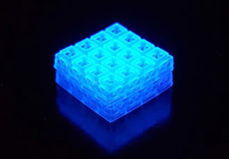 3D printed bone bricks