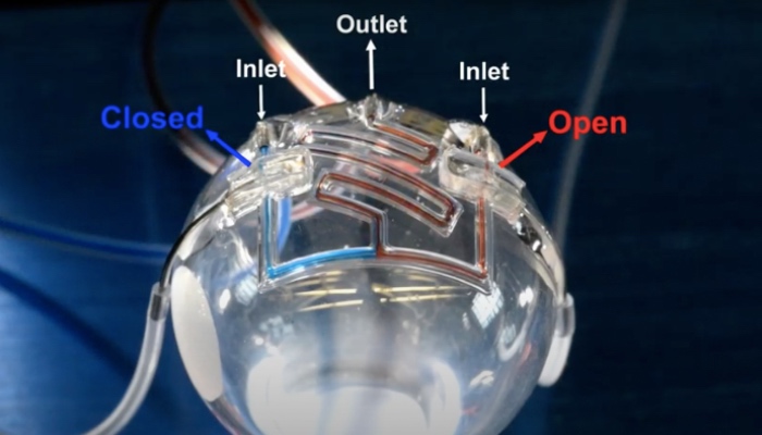 Microfluidic channels