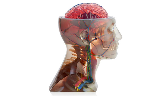 3D printed anatomical planning - 3Dnatives