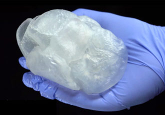 heart model