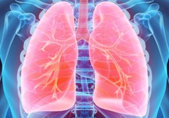 lung model