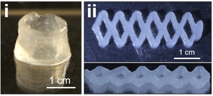 homocomposite hydrogels