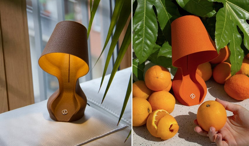 A 3D Printed Made From Orange Peels - 3Dnatives