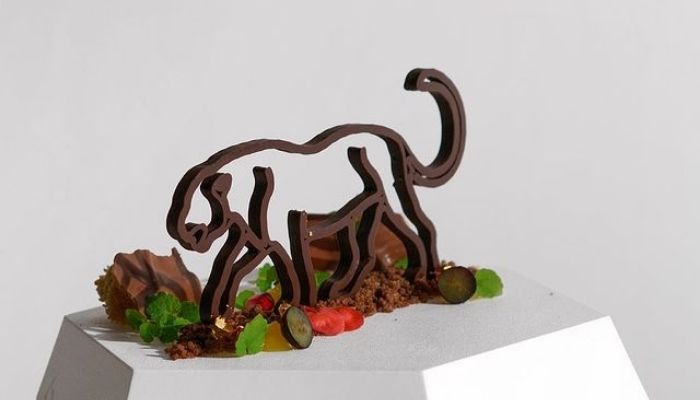 chocolate tiger