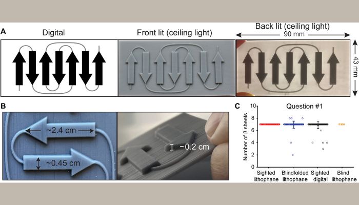 Imprimante thermique polyvalente braille et 3D TactPlus pour aveugle