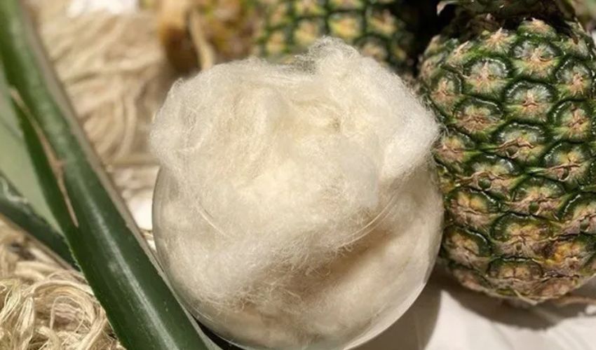 Plant waste (pineapple fibers) for 3D printing