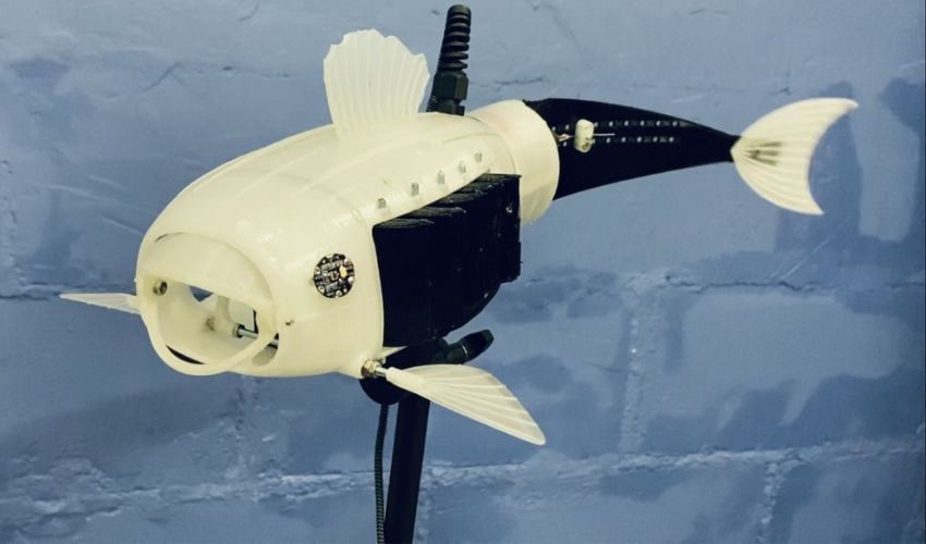 Robotic fish prototype