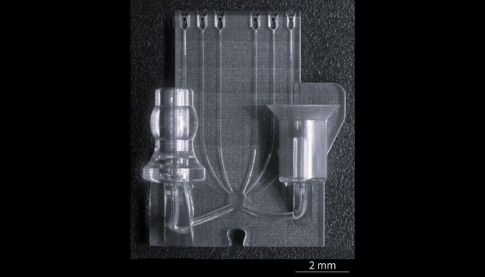 fecondazione in vitro 3D