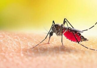 mosquito 3D printing