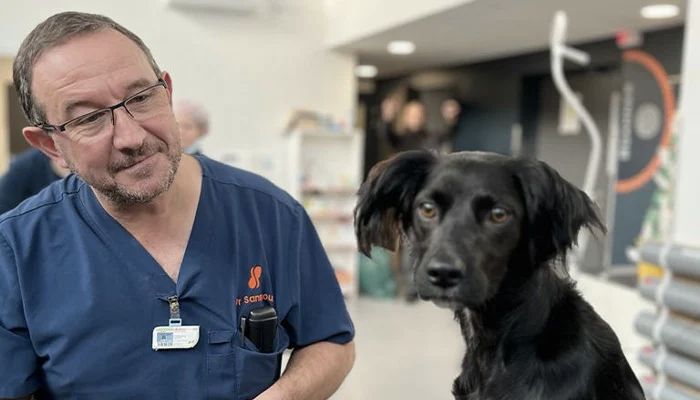 Dog prosthesis 3D printing