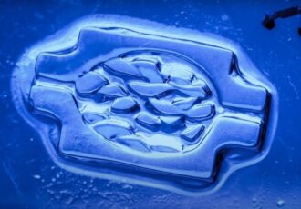 Bioprinting DLP