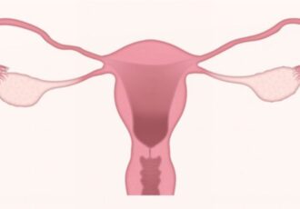 3D printed ovules