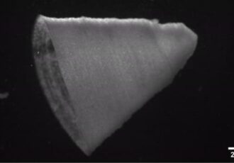 3D printed heart made with fiber-infused ink