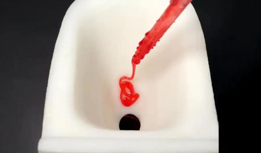 3D printed toilet