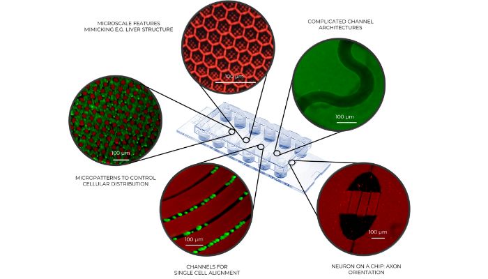 Chips de BIO INX