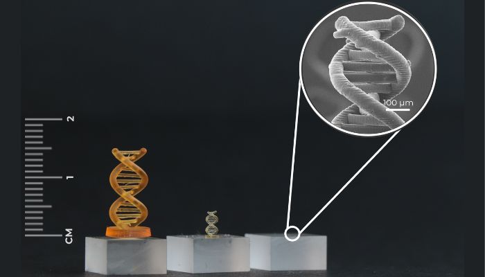 bioprinting