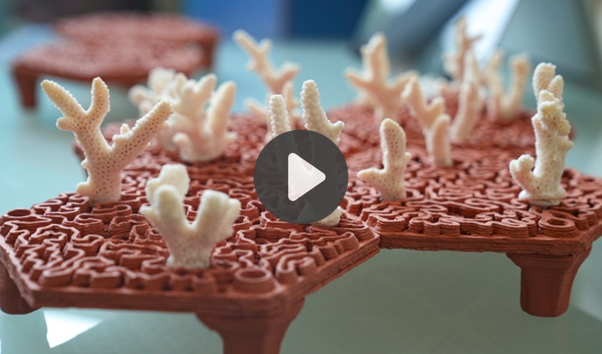 3D Printed Coral in the spotlight