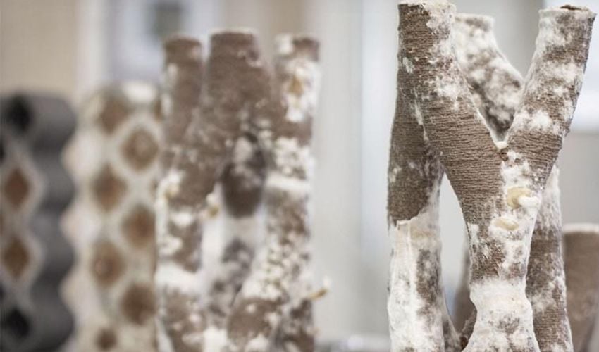 Mycelium 3D printing