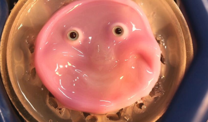 3D printed robot face with living skin