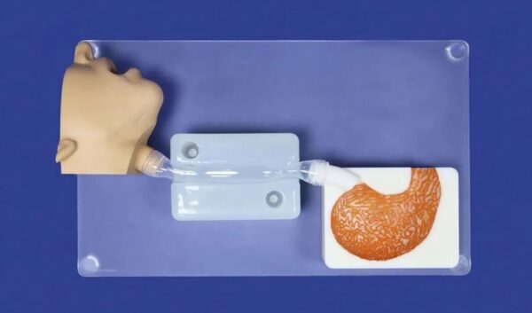 MedScan3D Talks Creating Customized Anatomical Models Using 3D Printing ...