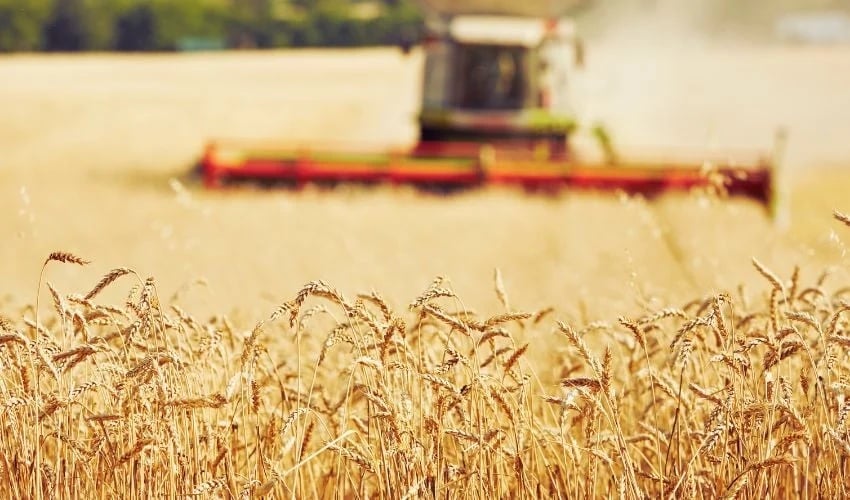 Agriculture 3D printing
