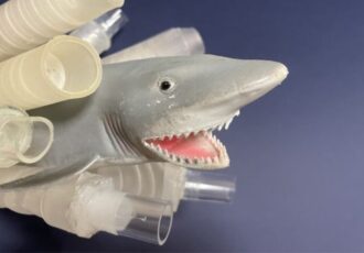 Shark intestine inspires 3D printed pipes