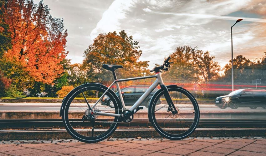 Möve Mobility